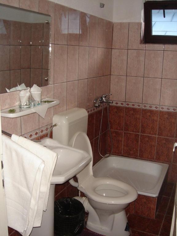 Vila Cristina Ceahlău Oda fotoğraf